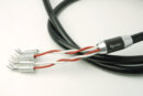 Esoteric 7N-S10000II MEXCEL (BI-WIRE) 2.0Mx2 BI-WIRE