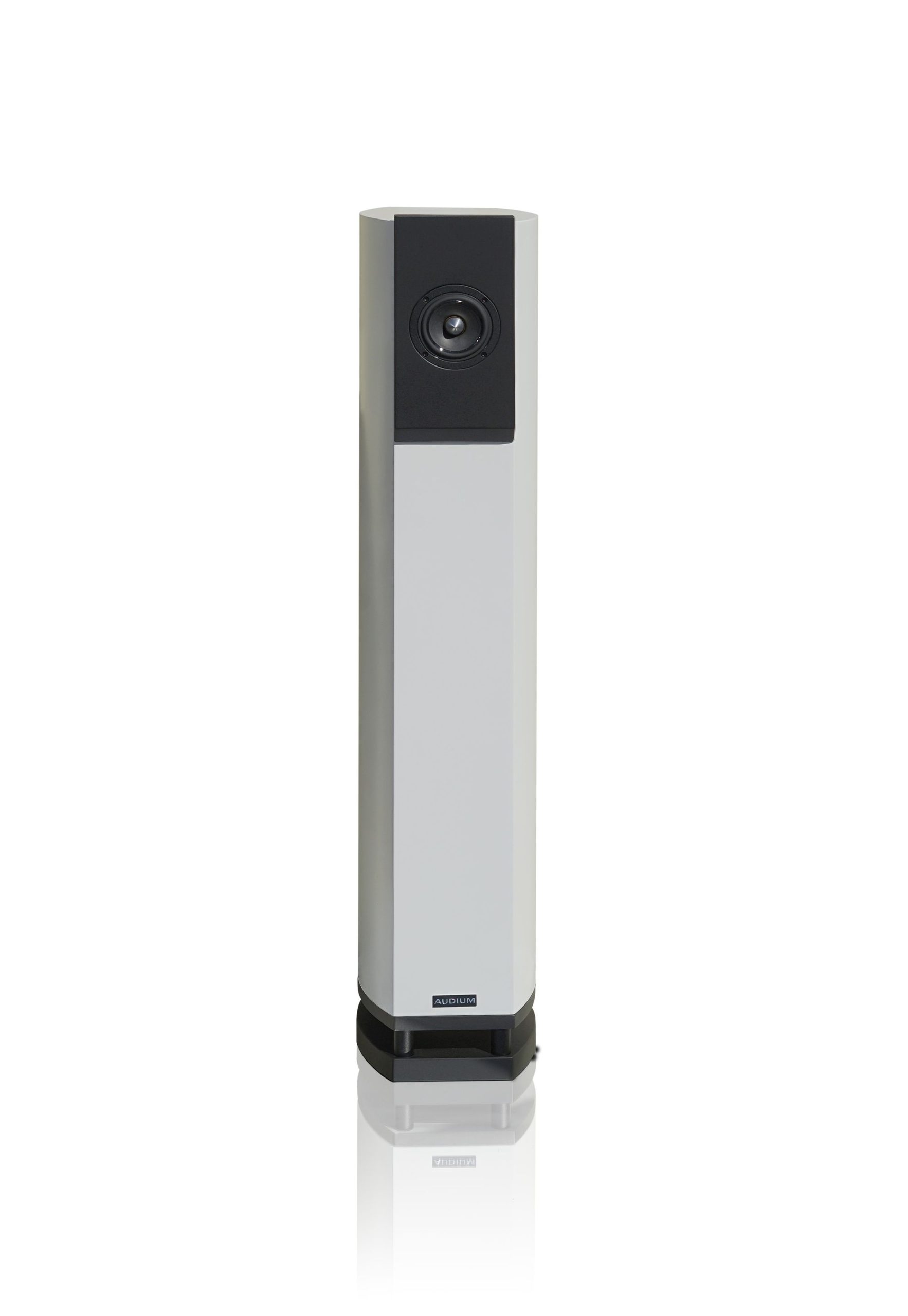 AUDIUM Comp 7X Passiv Standlautsprecher – Bild 2