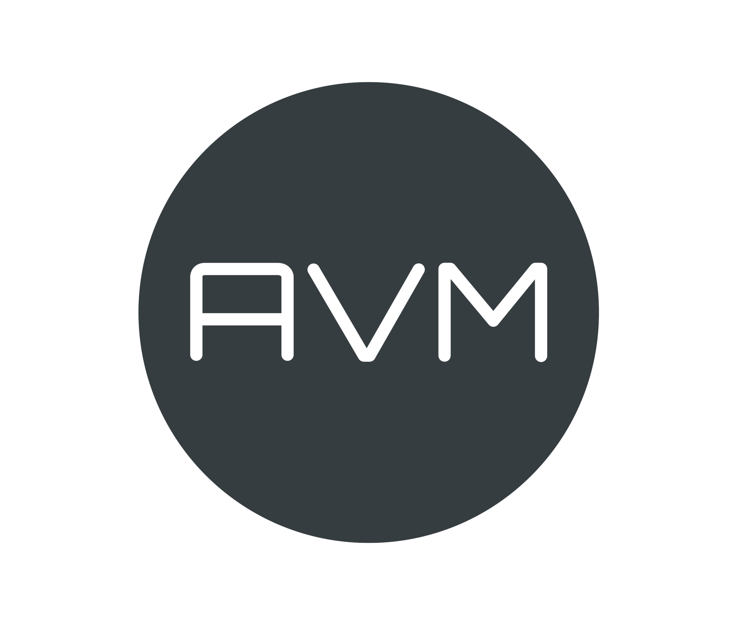 AVM : AVM