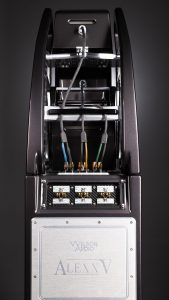 Alexx V Back Cables