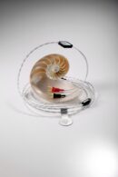Crystal Cable Micro2 Diamond Lautsprecherkabel