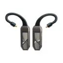 iFi Audio GO pod MAX