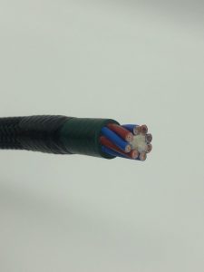 IMG_2396-scaled