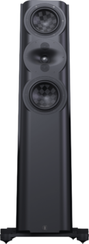 Perlisten S5T Standlautsprecher Passiv