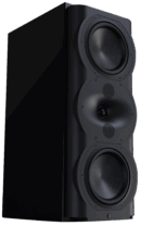 Perlisten R5m Monitor-Lautsprecher