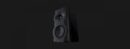 Perlisten S4b Regallautsprecher Passiv