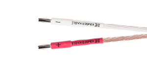 kim_8tc-sban-amp-end