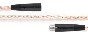 xlr-timbre-d1-0b39939e